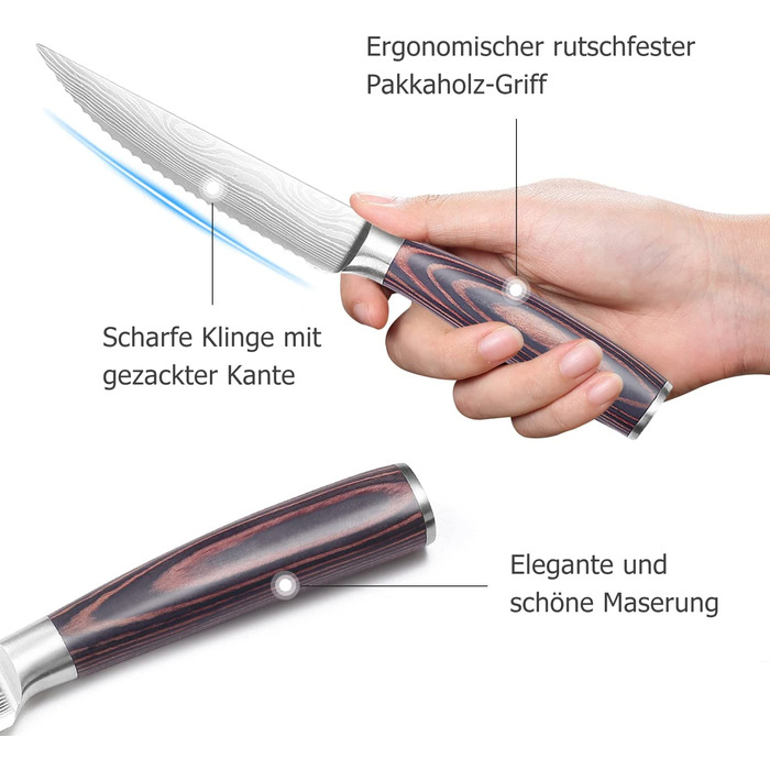 Набор из 6 ножей для стейка PAUDIN