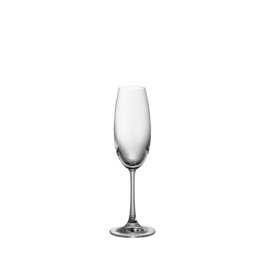 Бокал для шампанского 22,5 см DiVino Rosenthal