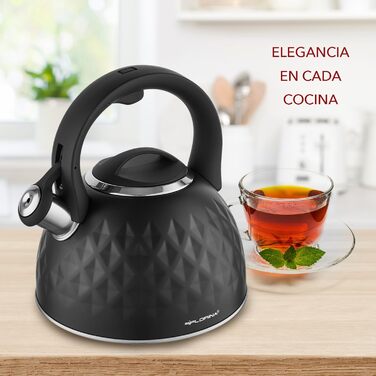 Чайник для плиты со свистком 2,5 л DIAMONTE Florina